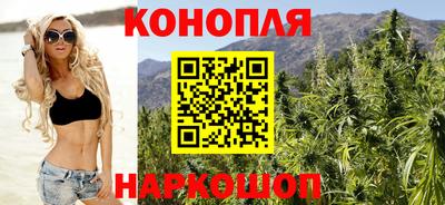 шишки Свободный