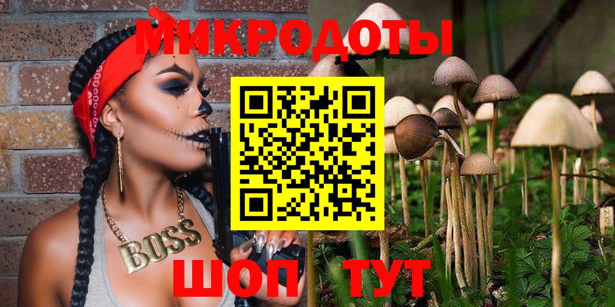 Галлюциногенные грибы прущие грибы Пенза