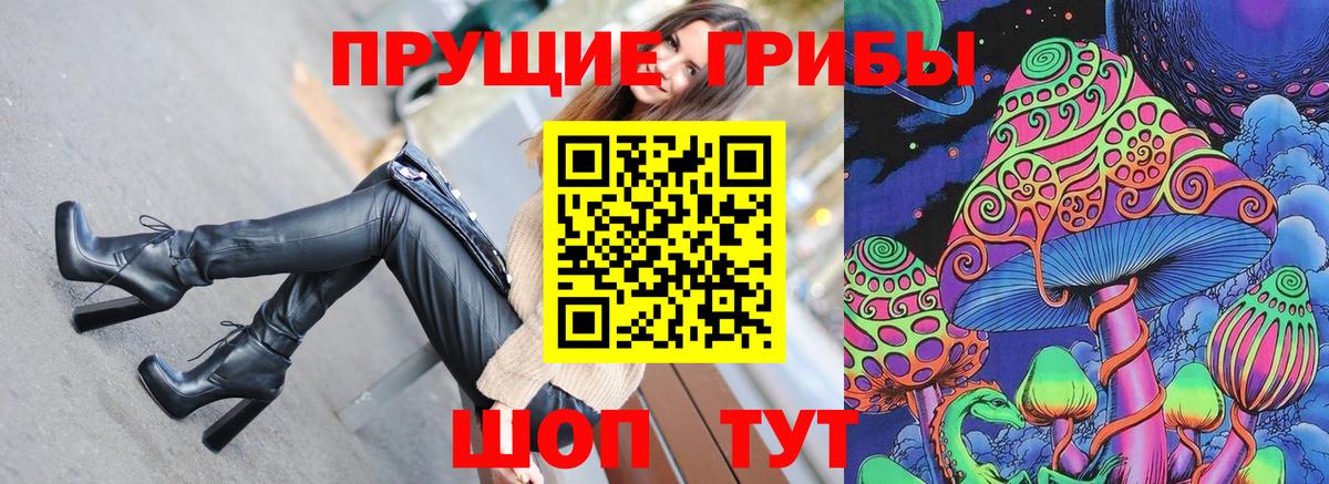 Псилоцибиновые грибы GOLDEN TEACHER  Вход с VPN  Пенза 